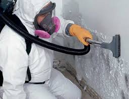 Best Attic Mold Removal  in USA